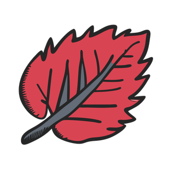1 (3137).png